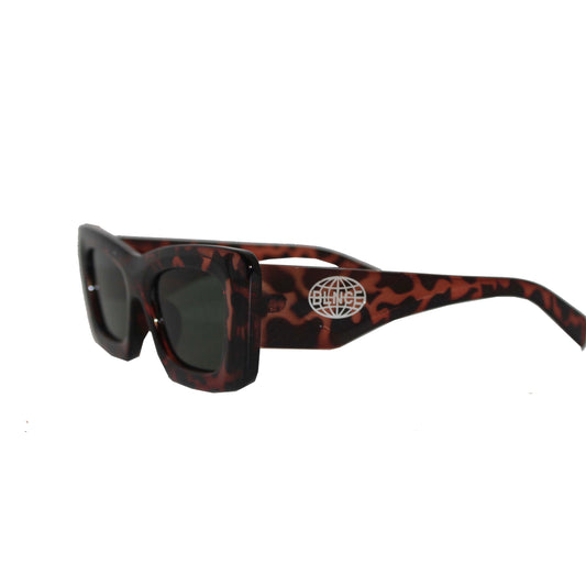 Tortoise Starter Frames